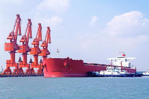 广州 国内货物运输代理行业的枢纽与发展趋势